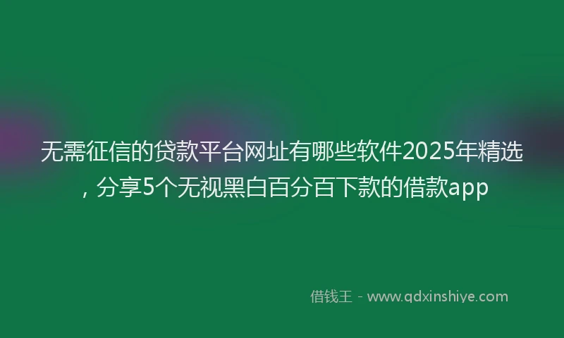 无需征信的贷款平台网址有哪些软件2025年精选，分享5个无视黑白百分百下款的借款app