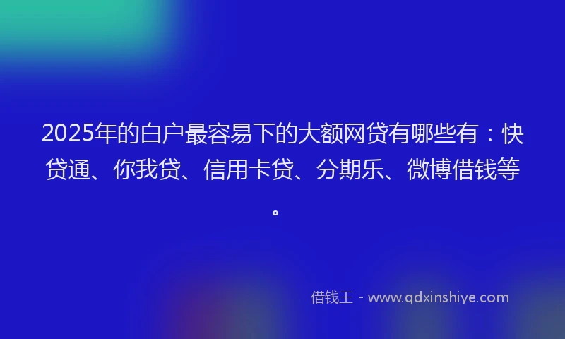 2025年的白户最容易下的大额网贷有哪些有：快贷通、你我贷、信用卡贷、分期乐、微博借钱等。
