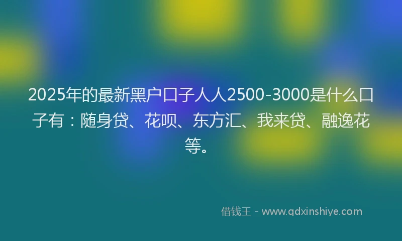 2025年的最新黑户口子人人2500-3000是什么口子有：随身贷、花呗、东方汇、我来贷、融逸花等。