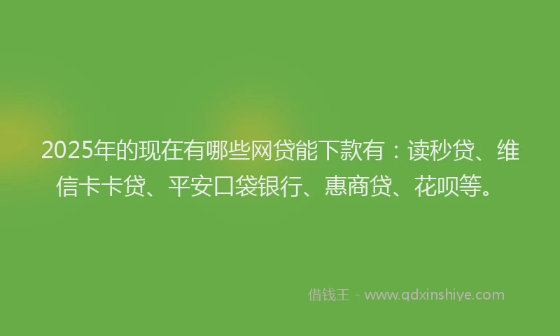 2025年的现在有哪些网贷能下款有：读秒贷、维信卡卡贷、平安口袋银行、惠商贷、花呗等。