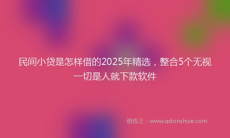 民间小贷是怎样借的2025年精选，整合5个无视一切是人就下款软件