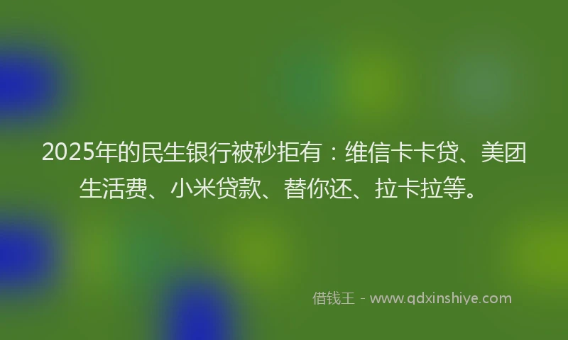 2025年的民生银行被秒拒有：维信卡卡贷、美团生活费、小米贷款、替你还、拉卡拉等。