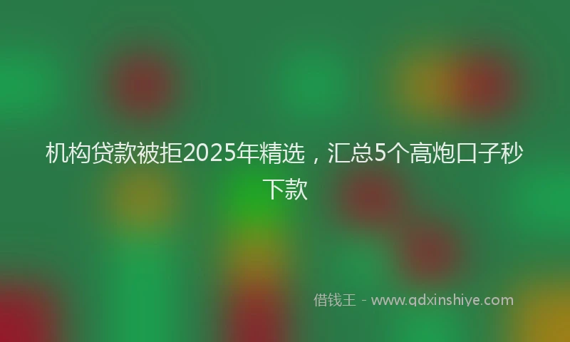 机构贷款被拒2025年精选，汇总5个高炮口子秒下款
