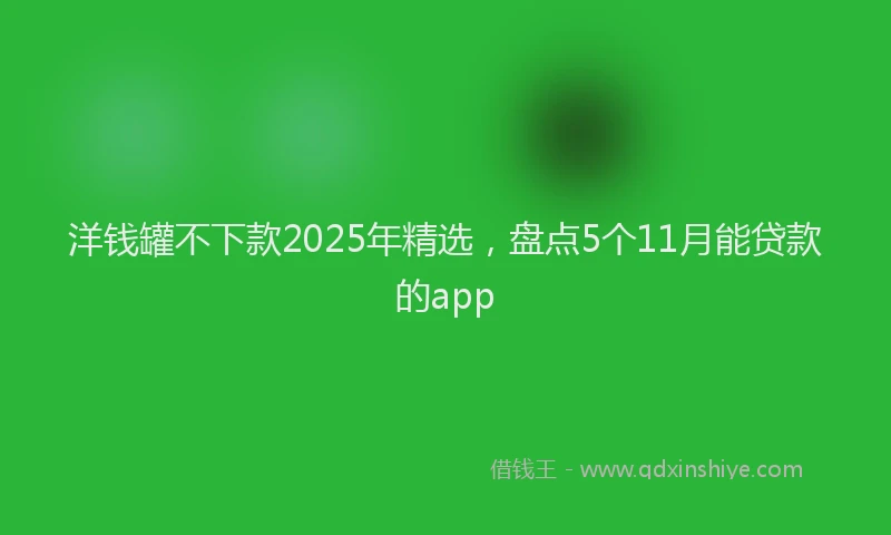 洋钱罐不下款2025年精选，盘点5个11月能贷款的app