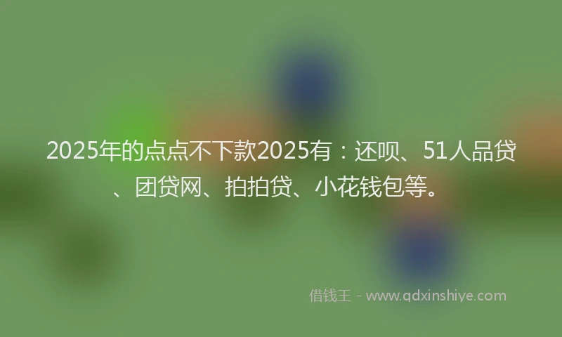 2025年的点点不下款2025有：还呗、51人品贷、团贷网、拍拍贷、小花钱包等。
