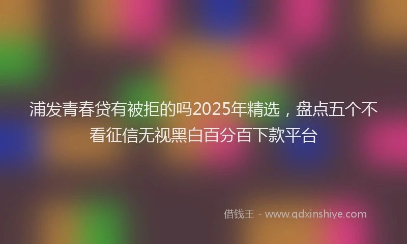 浦发青春贷有被拒的吗2025年精选，盘点五个不看征信无视黑白百分百下款平台