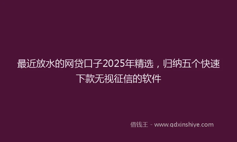 最近放水的网贷口子2025年精选，归纳五个快速下款无视征信的软件