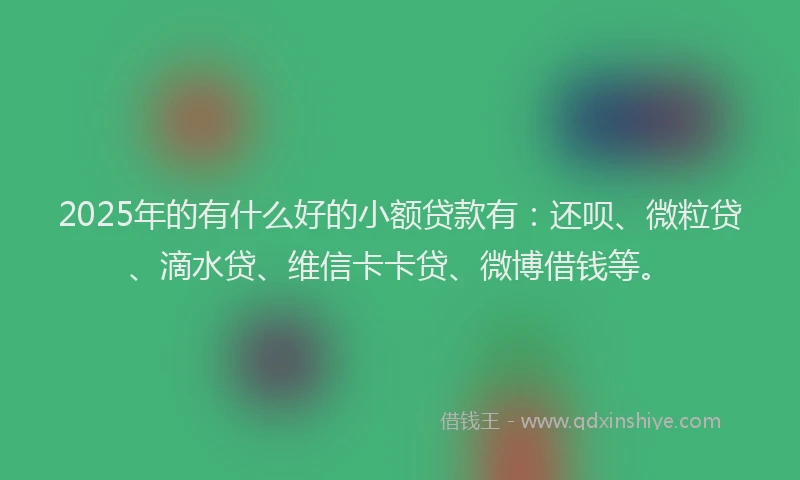 2025年的有什么好的小额贷款有：还呗、微粒贷、滴水贷、维信卡卡贷、微博借钱等。