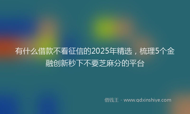 有什么借款不看征信的2025年精选，梳理5个金融创新秒下不要芝麻分的平台
