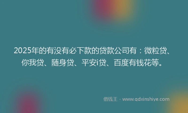 2025年的有没有必下款的贷款公司有：微粒贷、你我贷、随身贷、平安i贷、百度有钱花等。