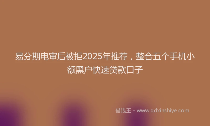易分期电审后被拒2025年推荐，整合五个手机小额黑户快速贷款口子