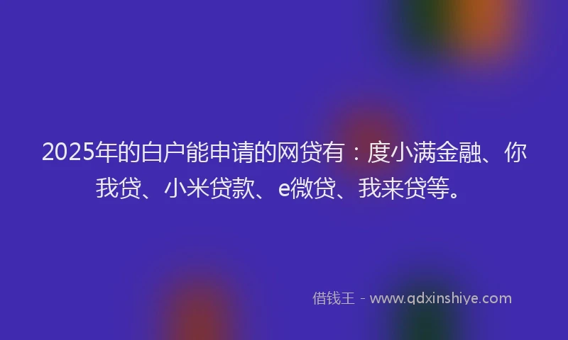 2025年的白户能申请的网贷有：度小满金融、你我贷、小米贷款、e微贷、我来贷等。