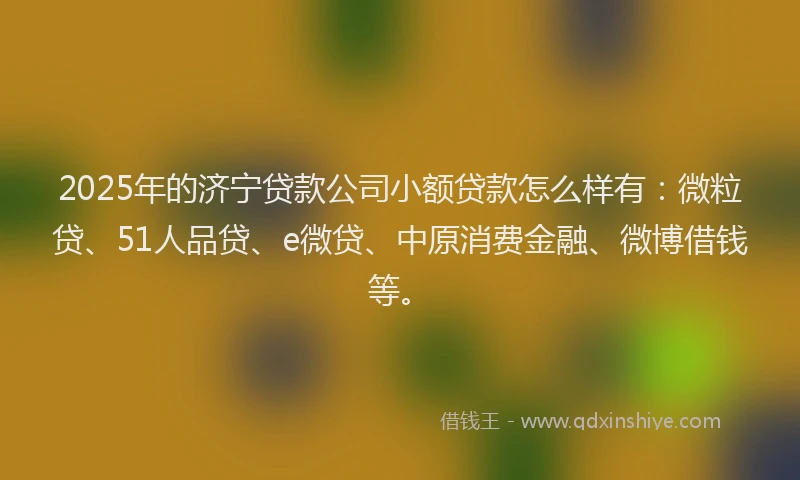 2025年的济宁贷款公司小额贷款怎么样有：微粒贷、51人品贷、e微贷、中原消费金融、微博借钱等。
