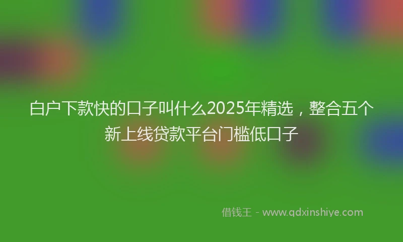 白户下款快的口子叫什么2025年精选，整合五个新上线贷款平台门槛低口子