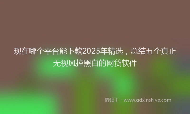 现在哪个平台能下款2025年精选，总结五个真正无视风控黑白的网贷软件