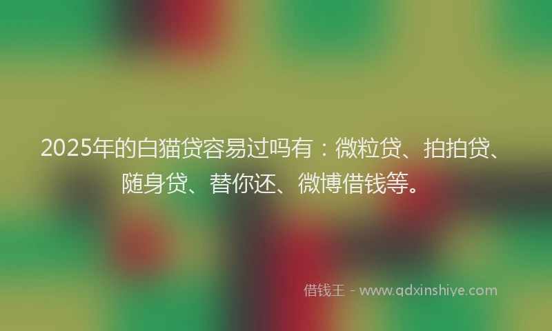 2025年的白猫贷容易过吗有：微粒贷、拍拍贷、随身贷、替你还、微博借钱等。