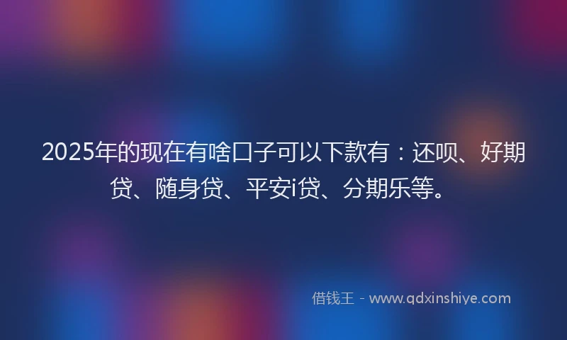 2025年的现在有啥口子可以下款有：还呗、好期贷、随身贷、平安i贷、分期乐等。