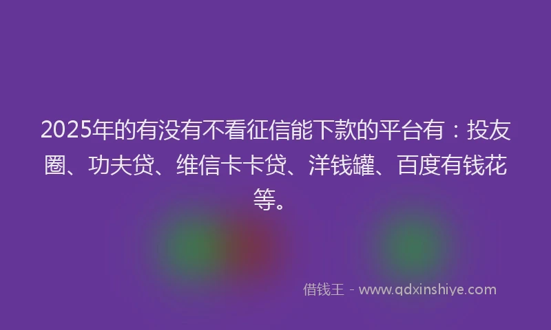 2025年的有没有不看征信能下款的平台有：投友圈、功夫贷、维信卡卡贷、洋钱罐、百度有钱花等。