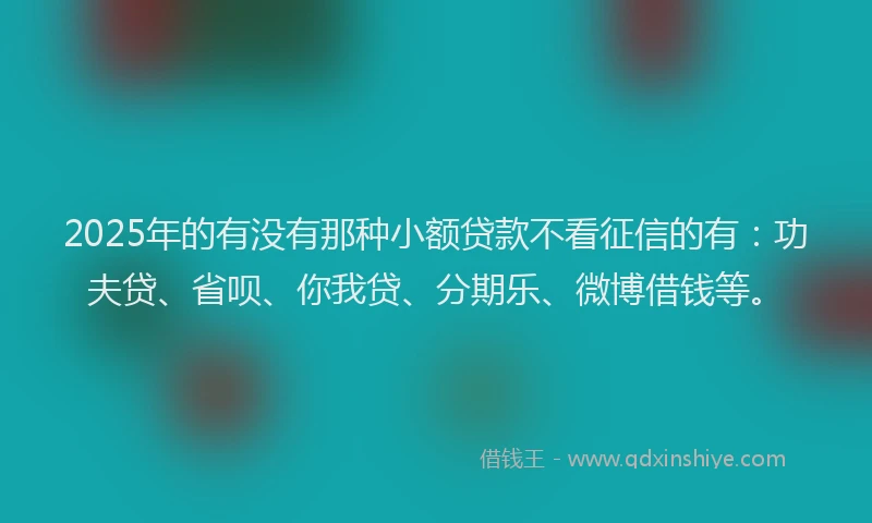 2025年的有没有那种小额贷款不看征信的有：功夫贷、省呗、你我贷、分期乐、微博借钱等。
