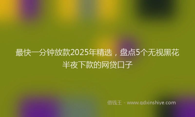 最快一分钟放款2025年精选，盘点5个无视黑花半夜下款的网贷口子