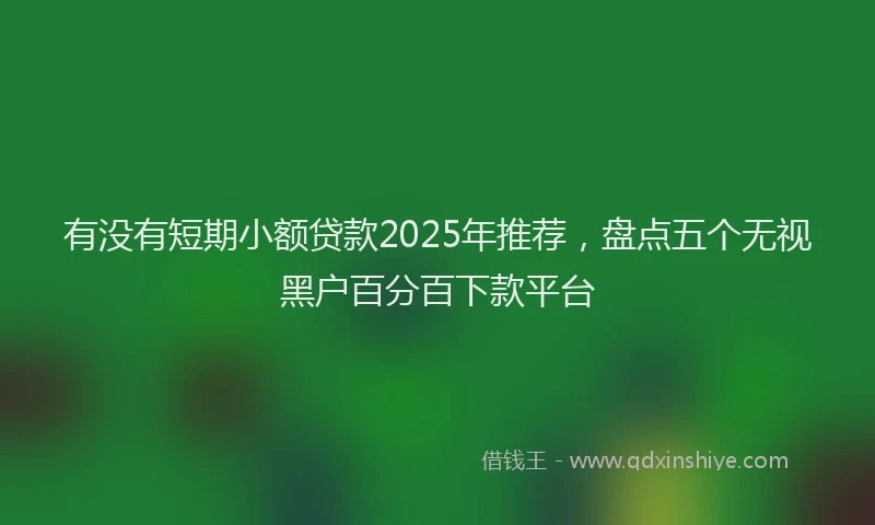 有没有短期小额贷款2025年推荐，盘点五个无视黑户百分百下款平台