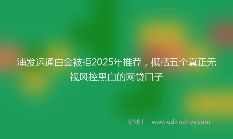 浦发运通白金被拒2025年推荐，概括五个真正无视风控黑白的网贷口子