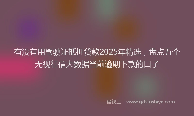 有没有用驾驶证抵押贷款2025年精选，盘点五个无视征信大数据当前逾期下款的口子