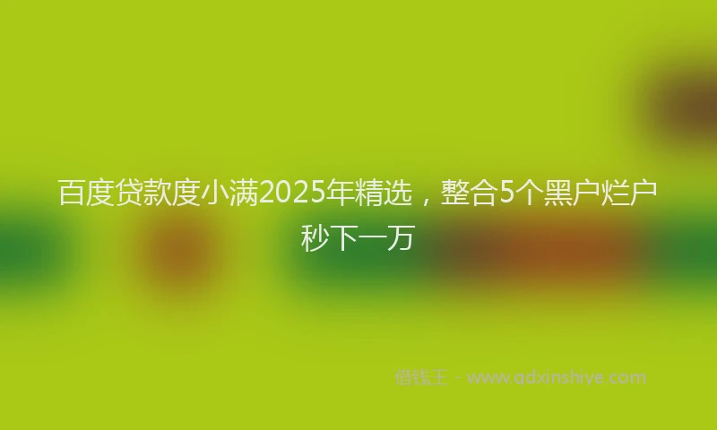 百度贷款度小满2025年精选，整合5个黑户烂户秒下一万