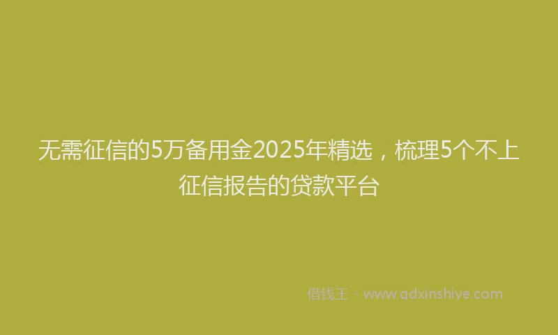 无需征信的5万备用金2025年精选，梳理5个不上征信报告的贷款平台