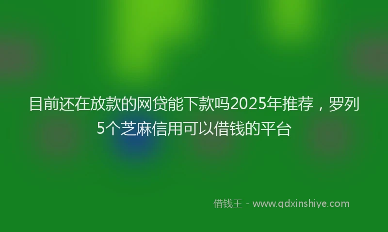 目前还在放款的网贷能下款吗2025年推荐，罗列5个芝麻信用可以借钱的平台