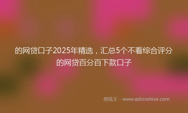 的网贷口子2025年精选，汇总5个不看综合评分的网贷百分百下款口子