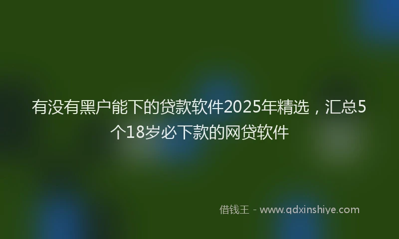 有没有黑户能下的贷款软件2025年精选，汇总5个18岁必下款的网贷软件