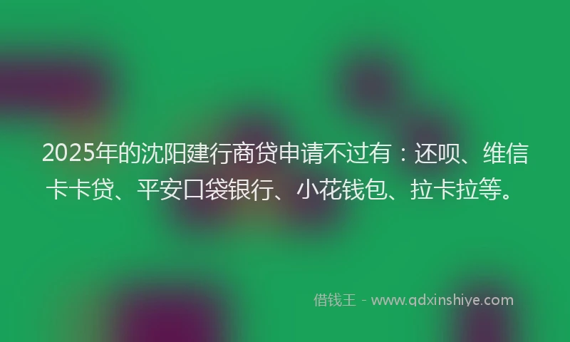 2025年的沈阳建行商贷申请不过有：还呗、维信卡卡贷、平安口袋银行、小花钱包、拉卡拉等。
