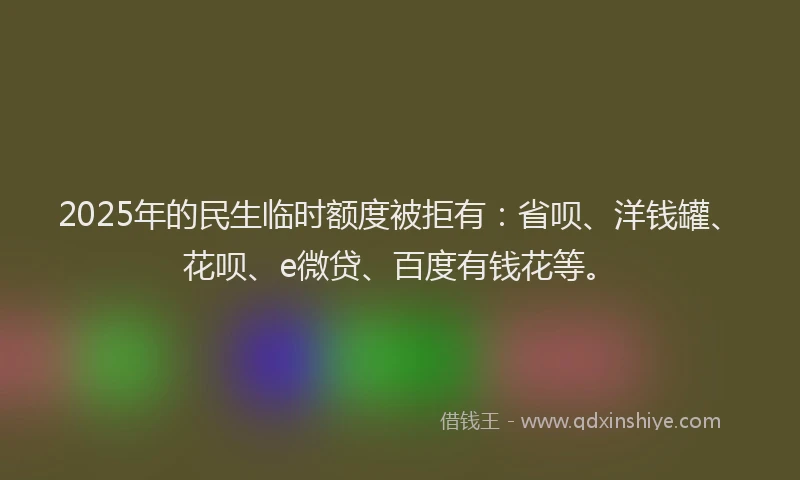 2025年的民生临时额度被拒有：省呗、洋钱罐、花呗、e微贷、百度有钱花等。