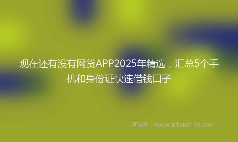 现在还有没有网贷APP2025年精选，汇总5个手机和身份证快速借钱口子