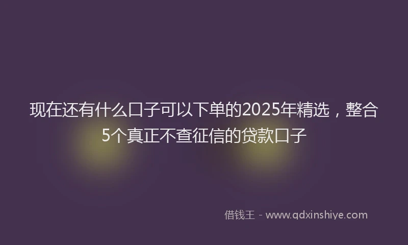 现在还有什么口子可以下单的2025年精选，整合5个真正不查征信的贷款口子