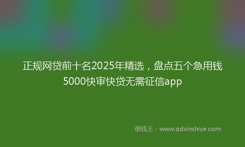 正规网贷前十名2025年精选，盘点五个急用钱5000快审快贷无需征信app