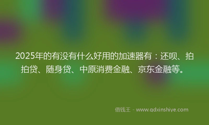 2025年的有没有什么好用的加速器有：还呗、拍拍贷、随身贷、中原消费金融、京东金融等。