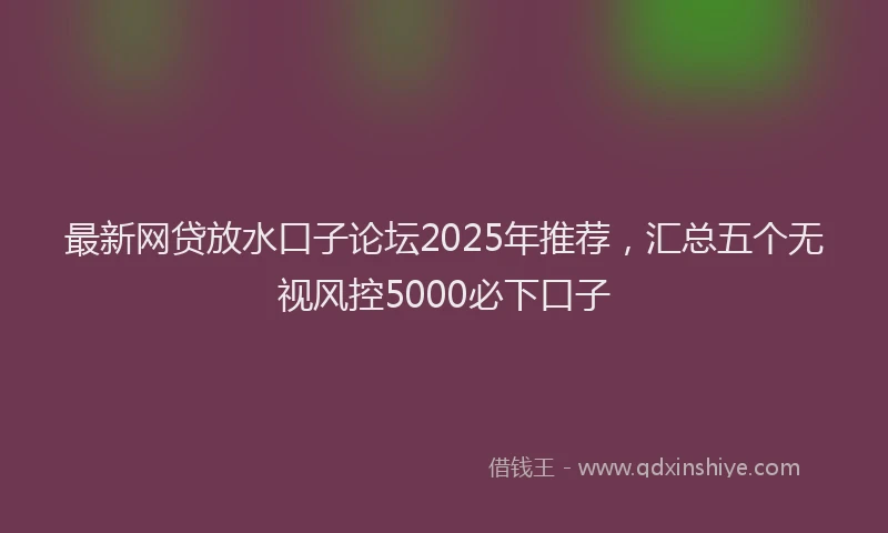 最新网贷放水口子论坛2025年推荐，汇总五个无视风控5000必下口子
