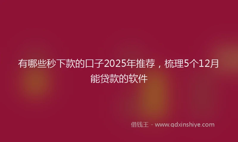 有哪些秒下款的口子2025年推荐，梳理5个12月能贷款的软件