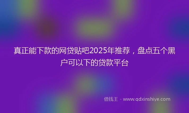 真正能下款的网贷贴吧2025年推荐，盘点五个黑户可以下的贷款平台