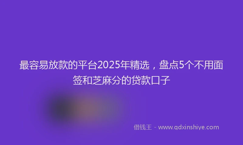 最容易放款的平台2025年精选，盘点5个不用面签和芝麻分的贷款口子