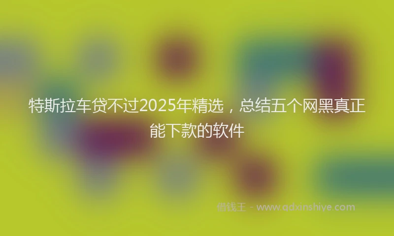 特斯拉车贷不过2025年精选，总结五个网黑真正能下款的软件