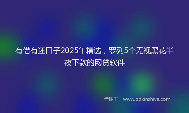 有借有还口子2025年精选，罗列5个无视黑花半夜下款的网贷软件