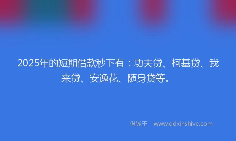 2025年的短期借款秒下有：功夫贷、柯基贷、我来贷、安逸花、随身贷等。