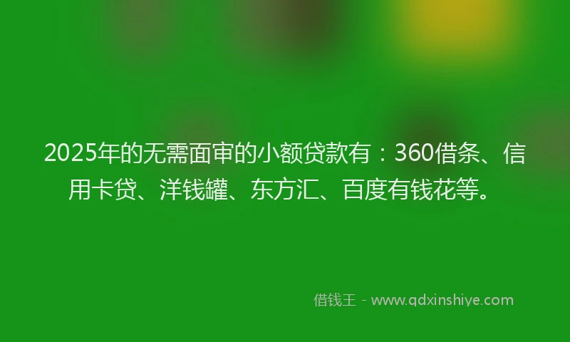 2025年的无需面审的小额贷款有：360借条、信用卡贷、洋钱罐、东方汇、百度有钱花等。