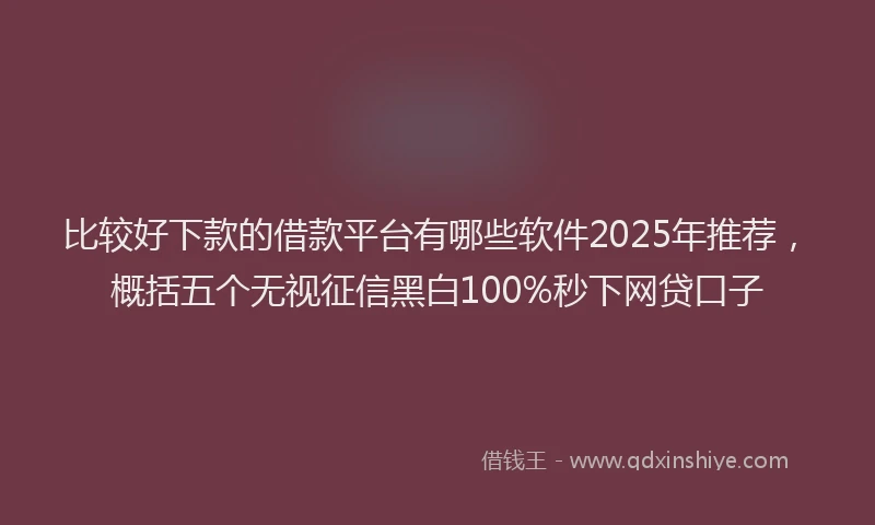 比较好下款的借款平台有哪些软件2025年推荐，概括五个无视征信黑白100%秒下网贷口子