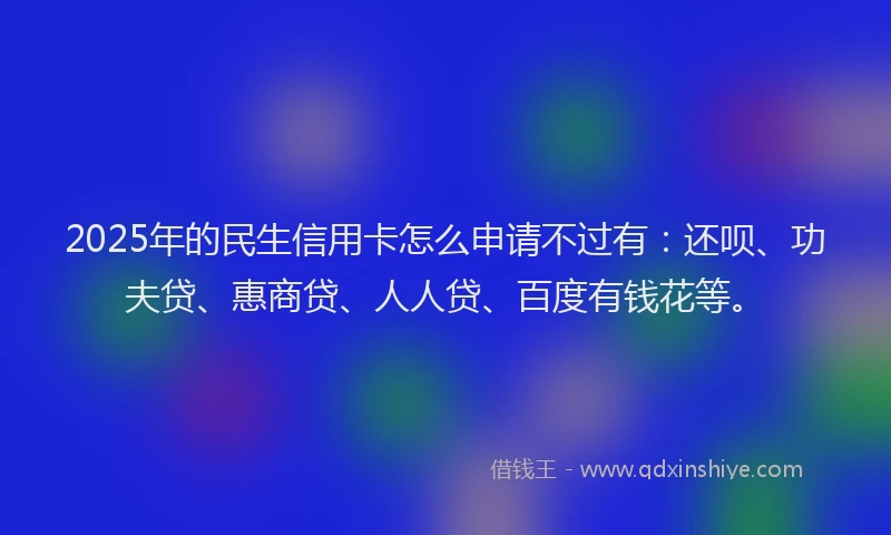 2025年的民生信用卡怎么申请不过有：还呗、功夫贷、惠商贷、人人贷、百度有钱花等。