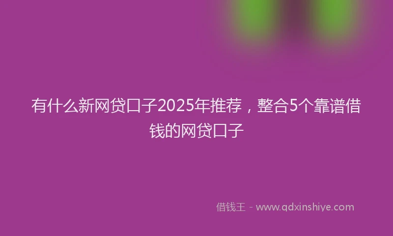 有什么新网贷口子2025年推荐，整合5个靠谱借钱的网贷口子