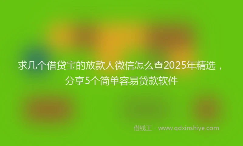 求几个借贷宝的放款人微信怎么查2025年精选，分享5个简单容易贷款软件